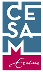 Logo CESAM RSM